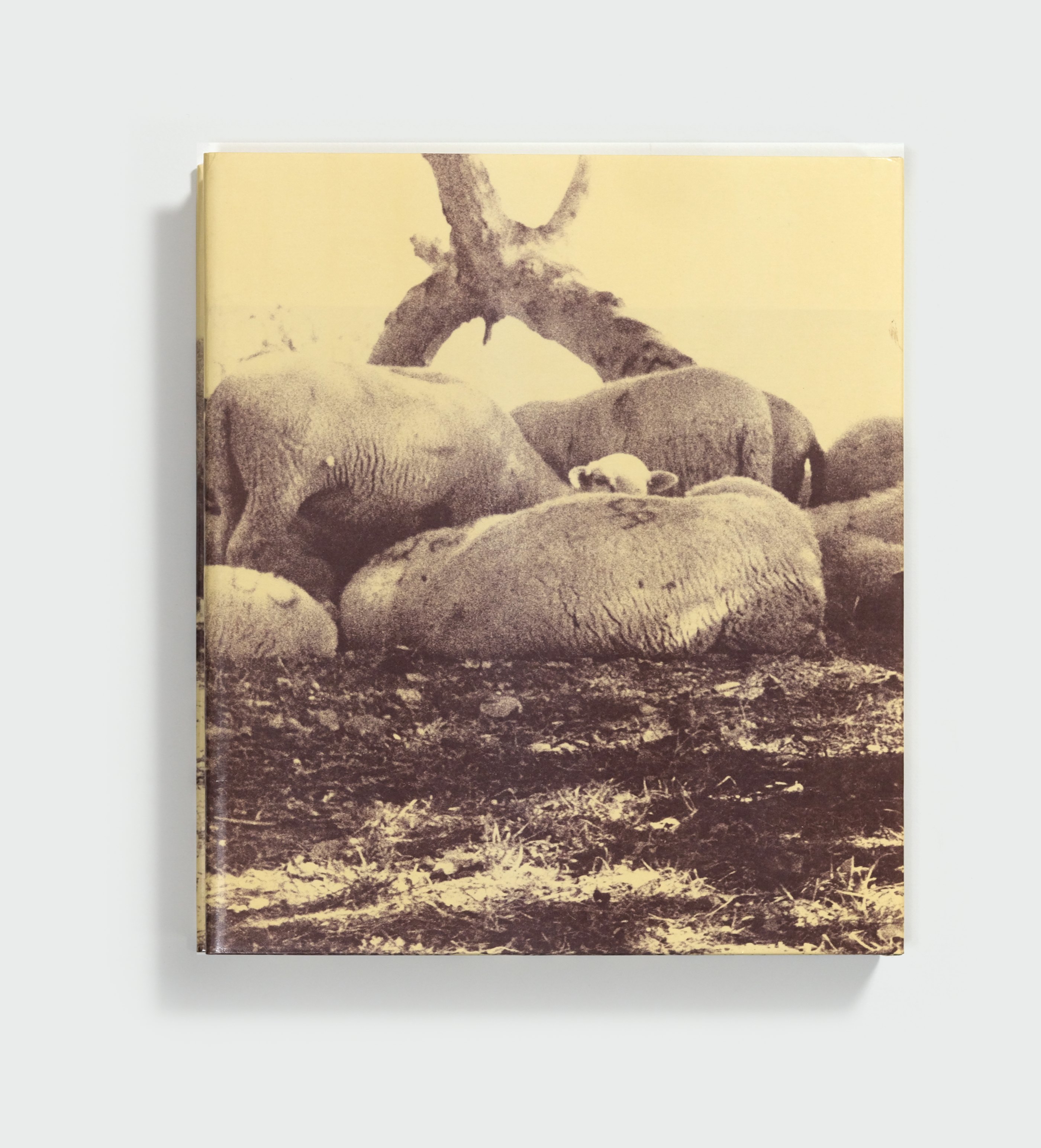 Bilder Paintings 1952-1976 by Cy Twombly — back cover