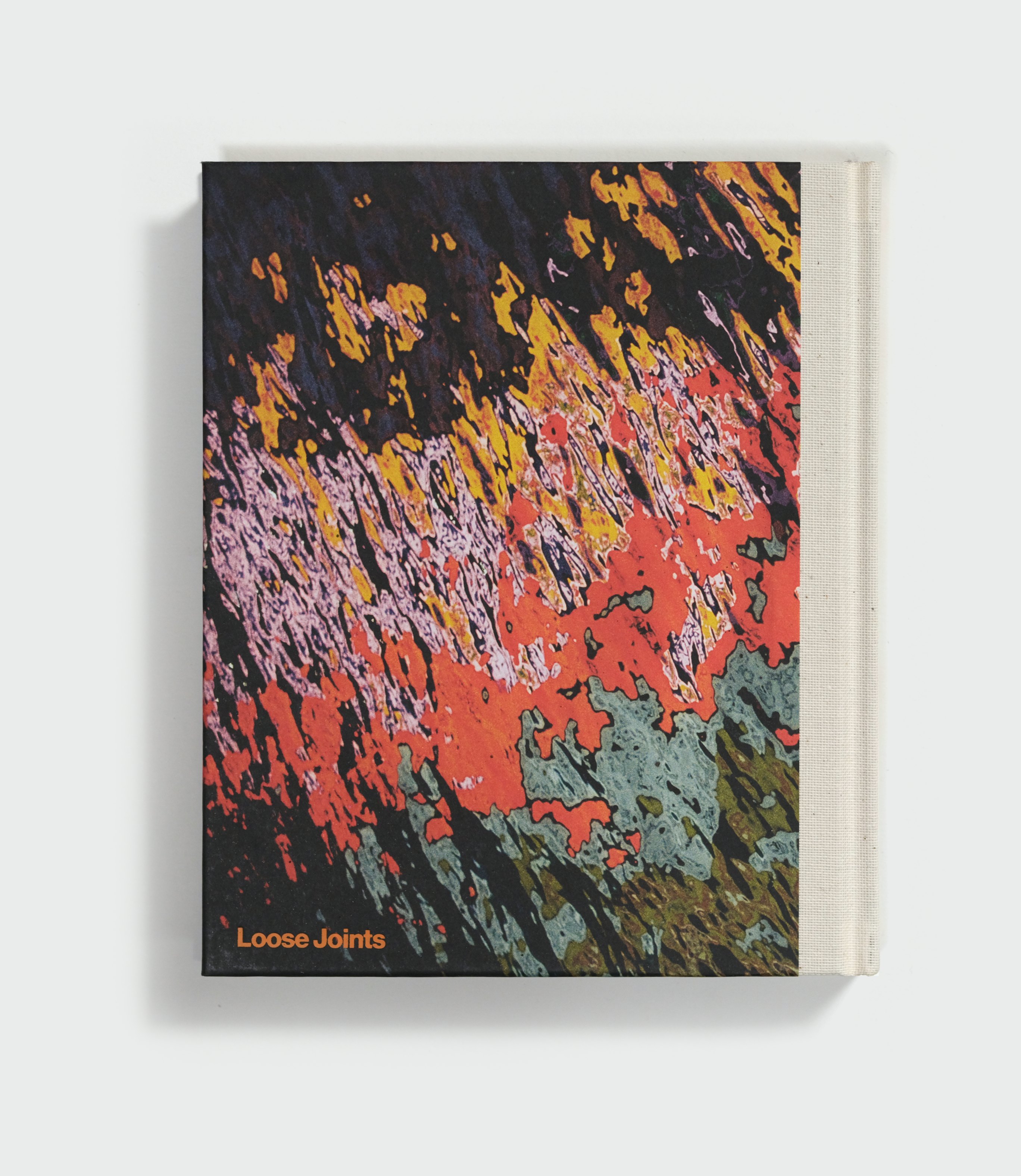Dias by Pia Riverola — back cover