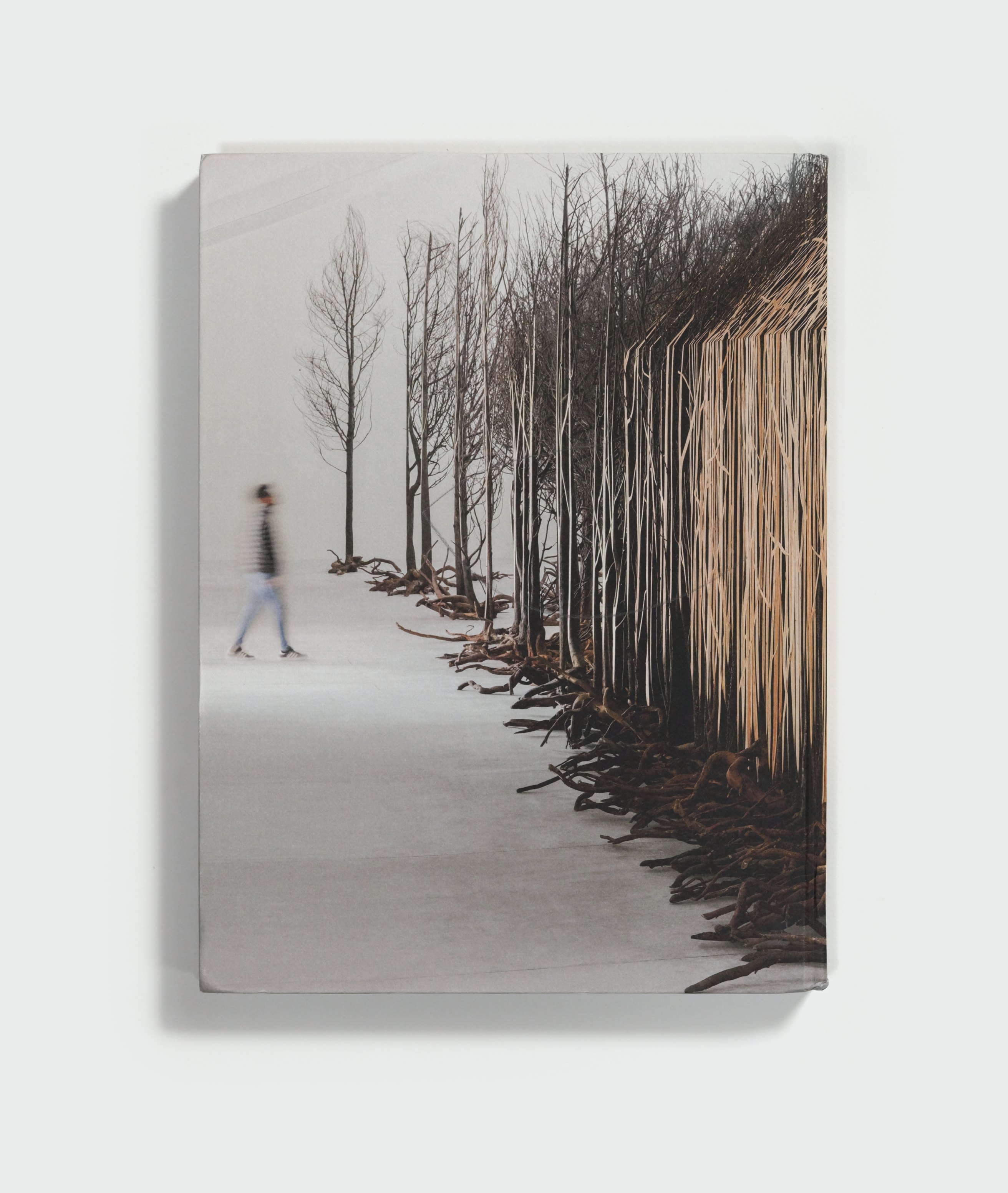 Doris Salcedo by Doris Salcedo — back cover