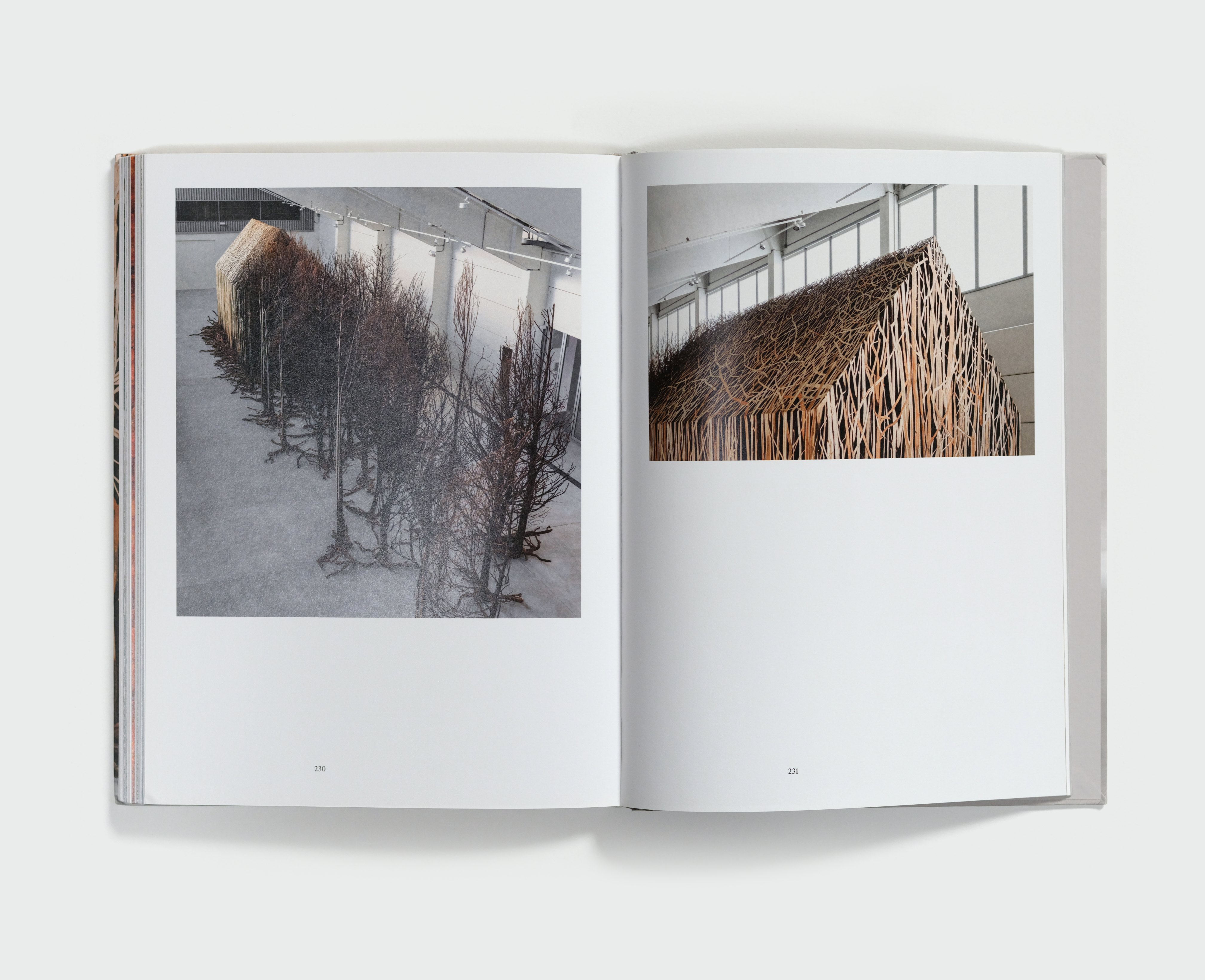 Doris Salcedo by Doris Salcedo — spread 8