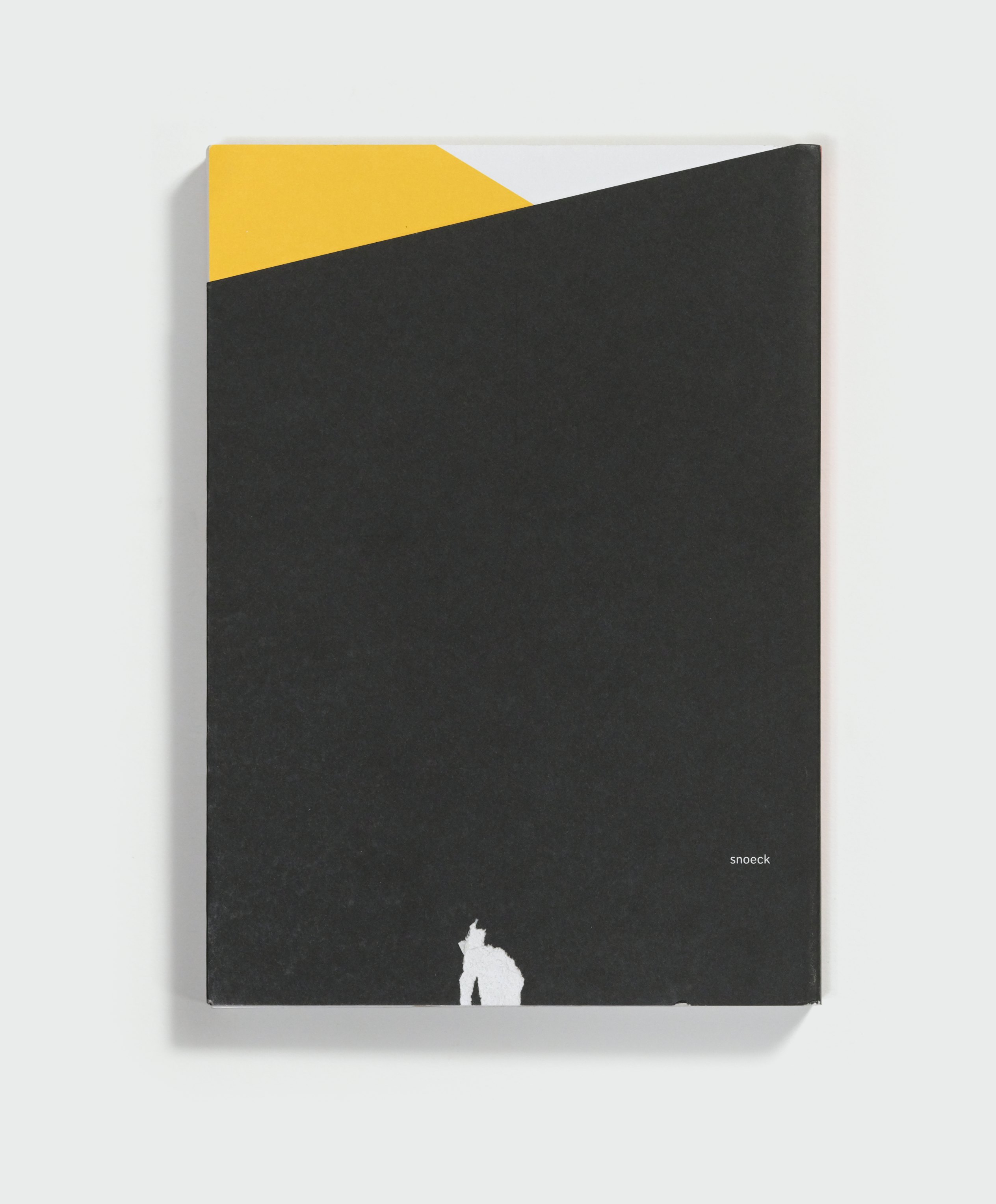 Unformed Desire by Flurin Bisig — back cover