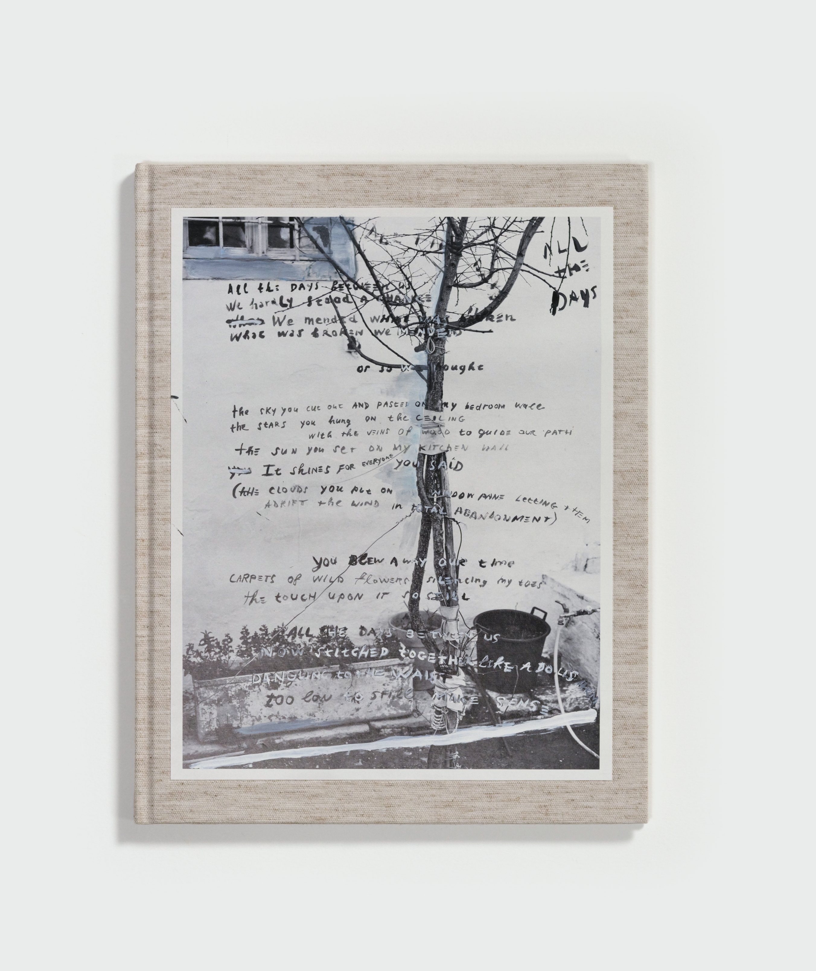 June by Annemarieke van Drimmelen, Jasper Krabbé — cover