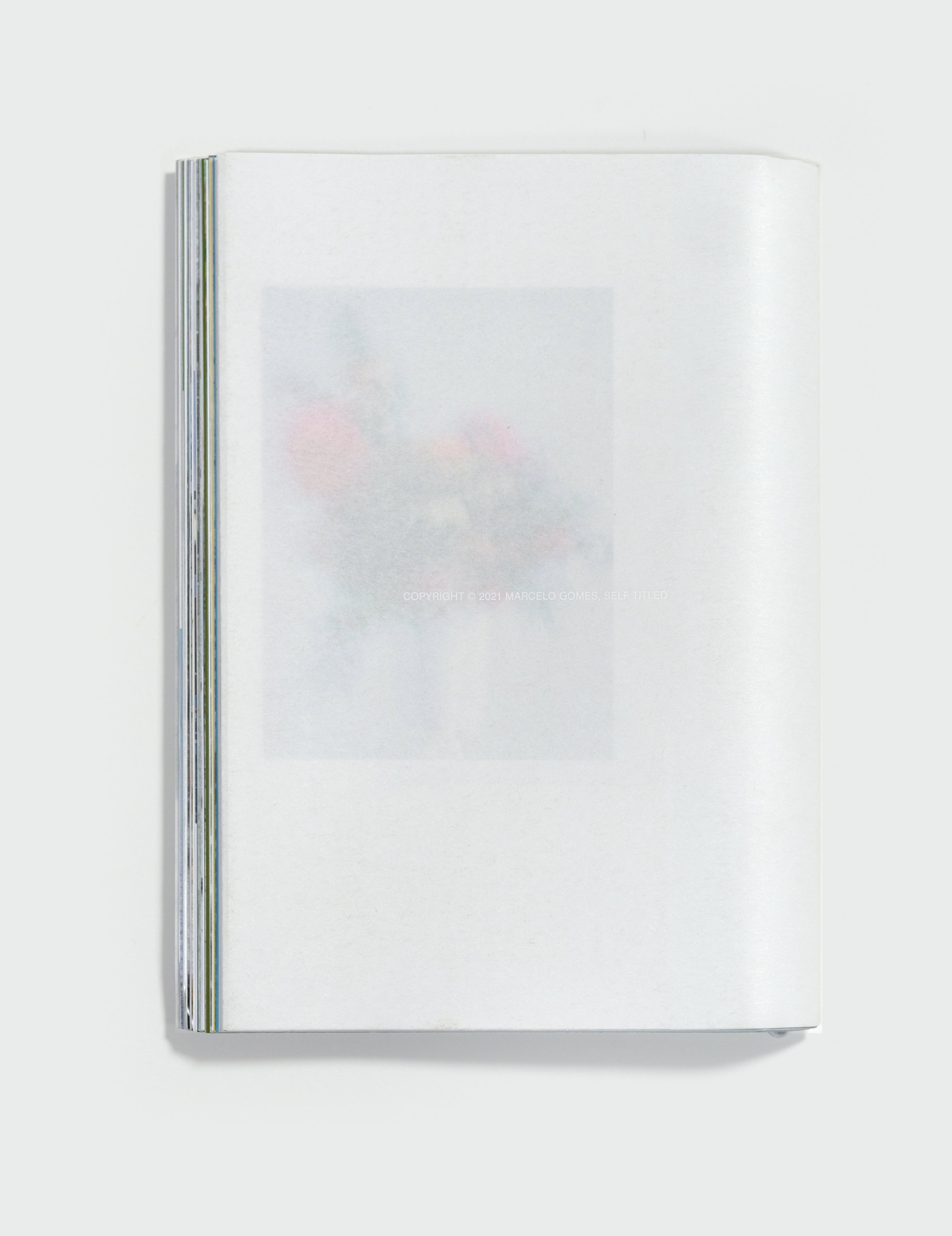 Pathêmes by Marcelo Gomes — back cover