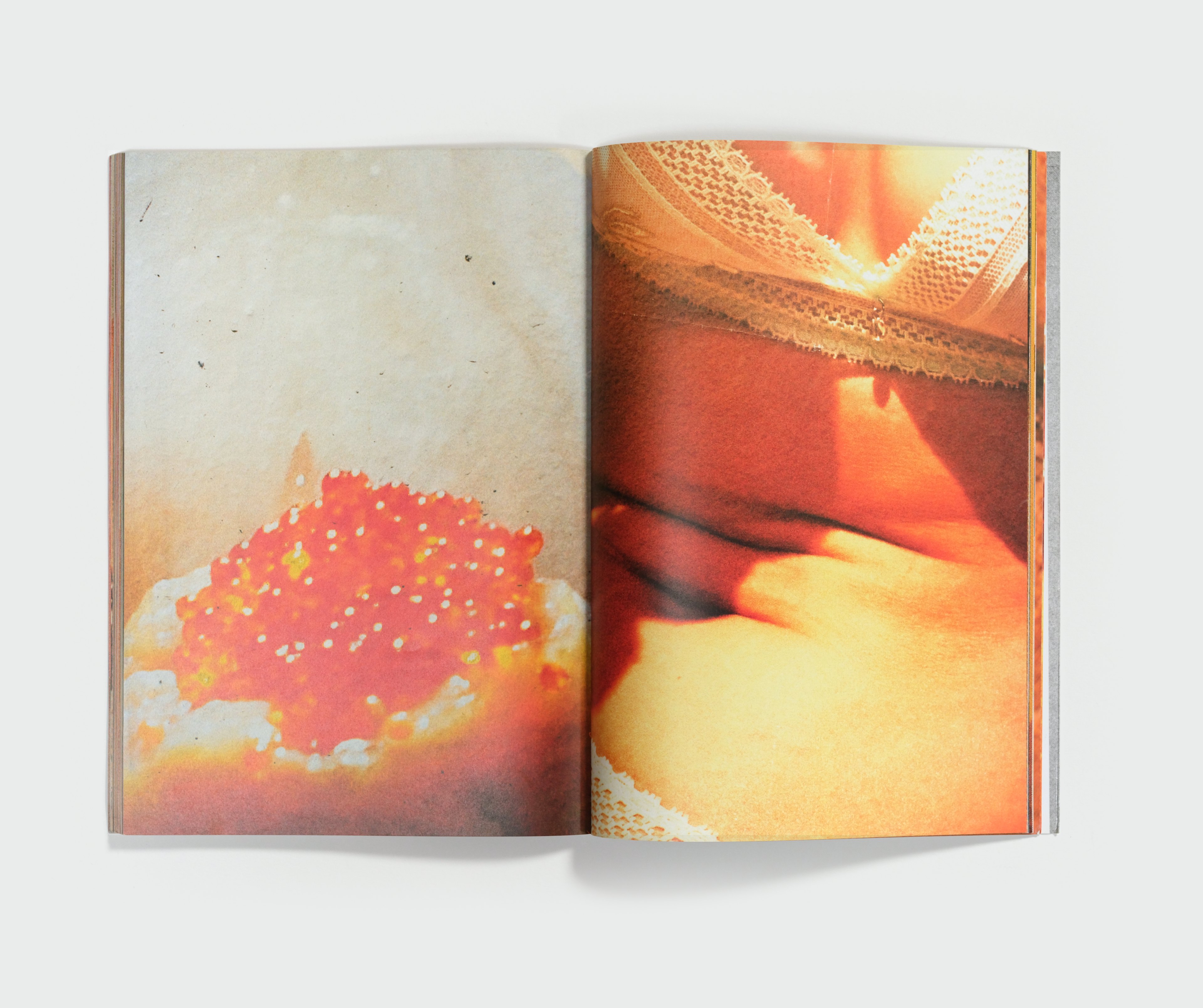 Primal by Anna Stüdeli — spread 5