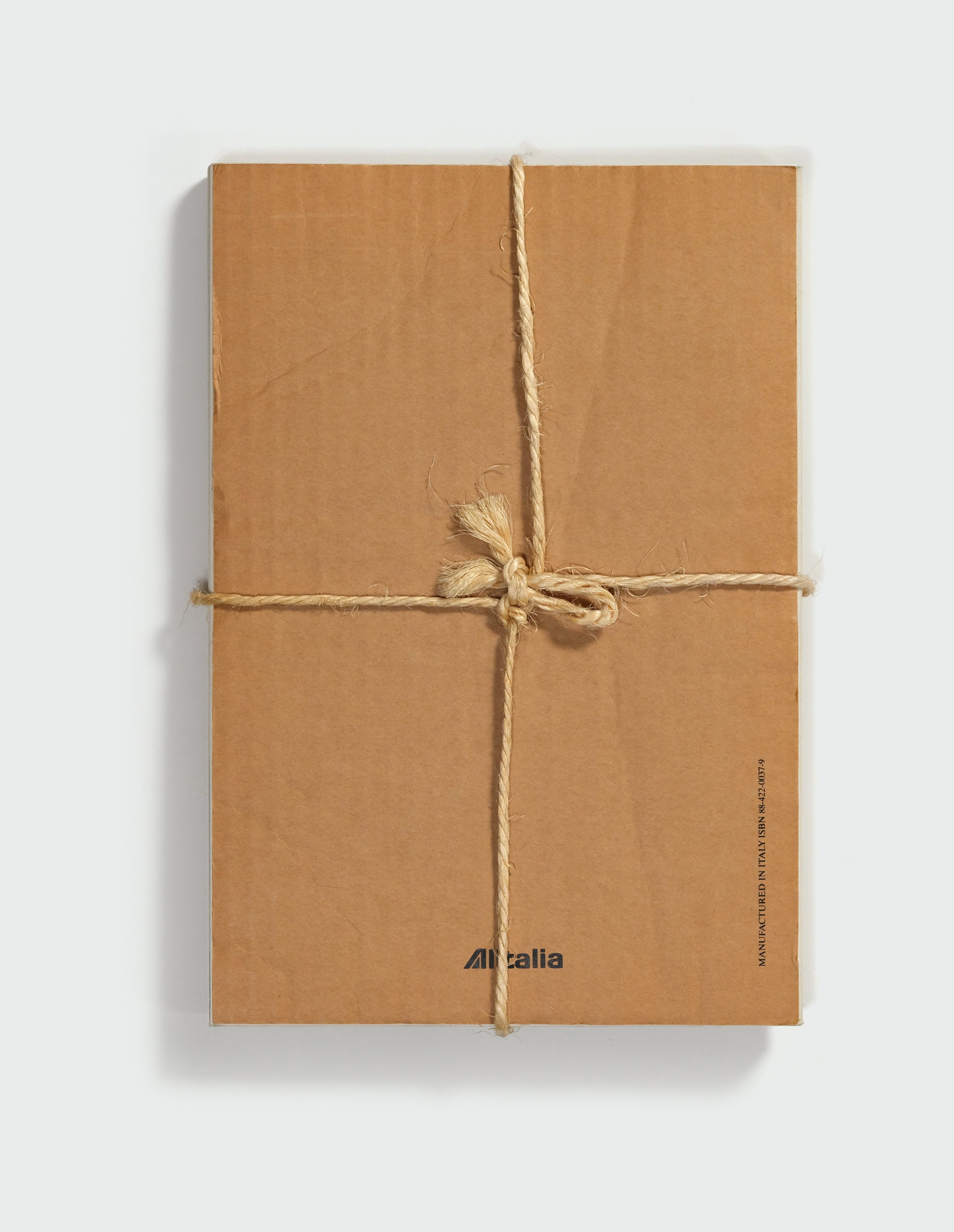 The Knot: Art Povera at PS1 — back cover