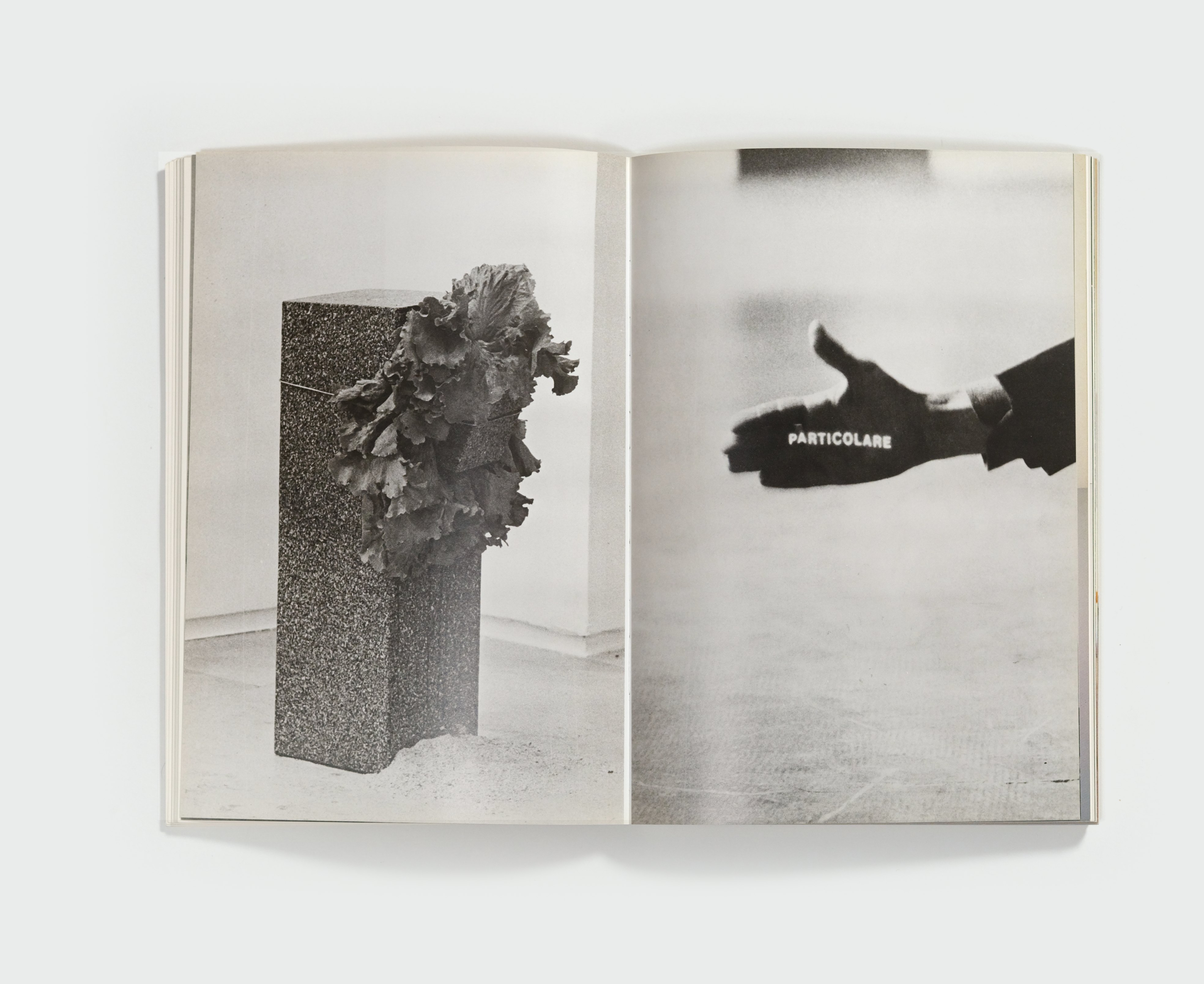 The Knot: Art Povera at PS1 — spread 2