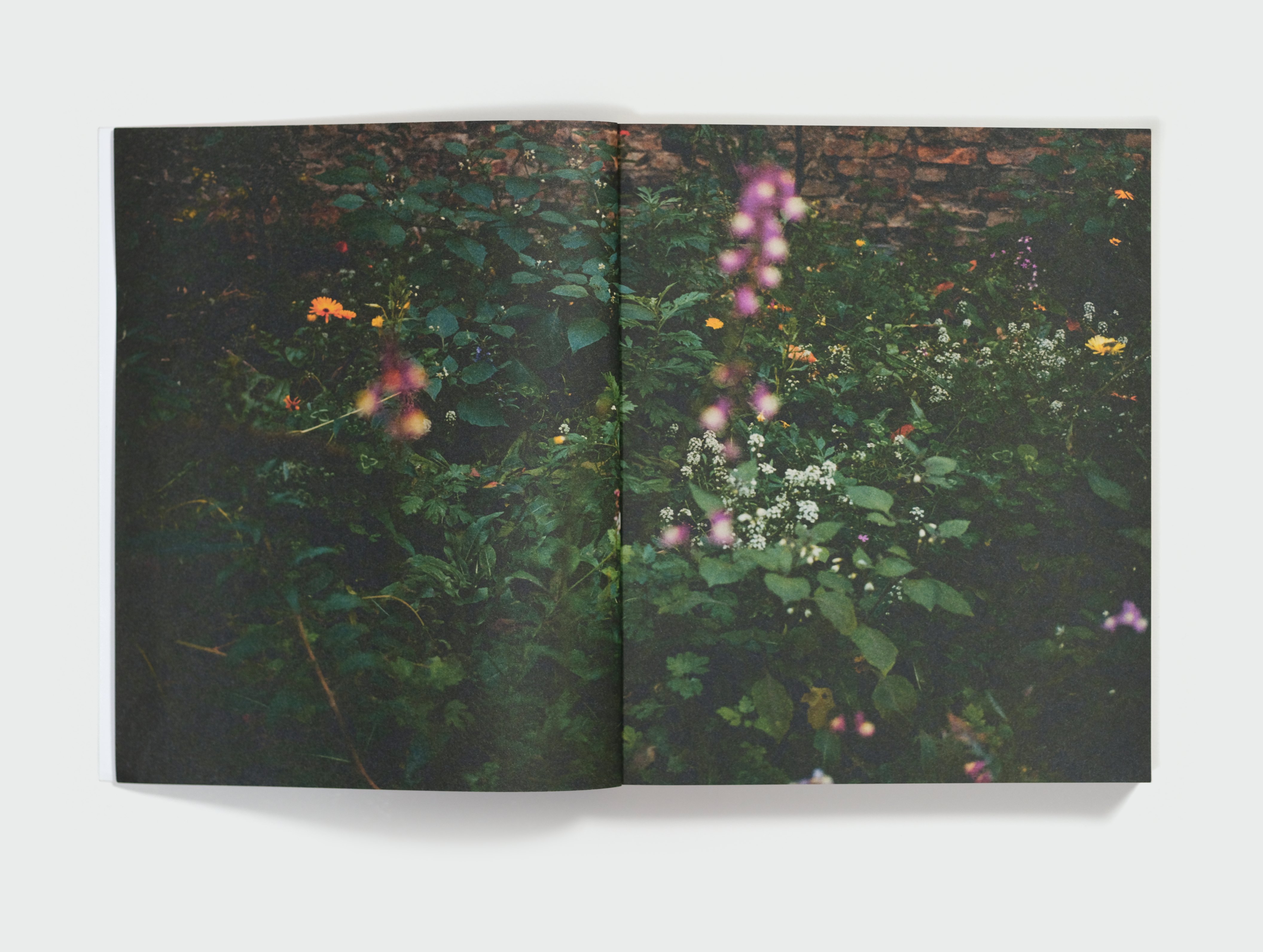 Wolfgang Tillmans by Wolfgang Tillmans — spread 1